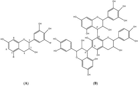 Evaluation of Tannins as Potential Green Corrosion Inhibitors of ...