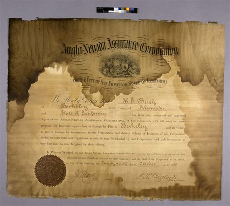 What's that smell? Working on flood damaged papers | UCLA Library