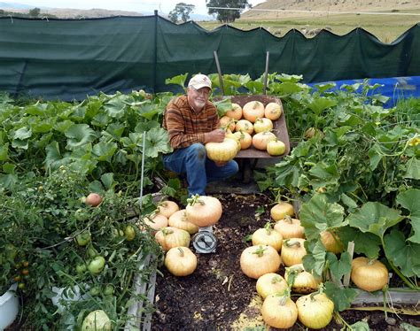 Gardening for Life - Discovering New Ways To Feed The World: BETTER ...