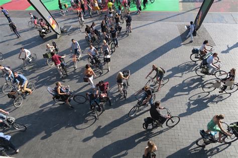City Cycling 的图像结果