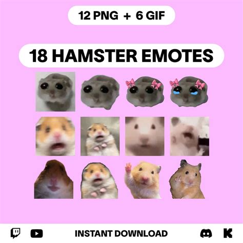 18 Hamster Emotes Pack | Cute Sad Hamster With Bow | Twitch Youtube ...
