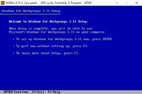 Image result for DOSBox XWin 3.11 Install