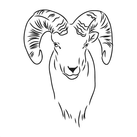 Large goat horns screwed shape from back, sketch vector drawing in ...