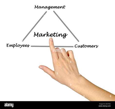 Diagram About Marketing 的图像结果