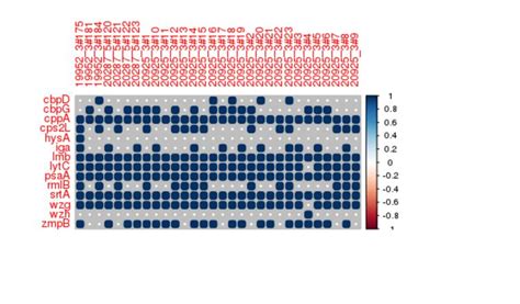 Plot Matrix Python 的图像结果