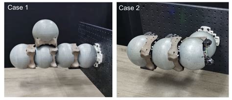 Snail-Inspired Robot Swarms Can Stick Like a Snail and Think Like a Team