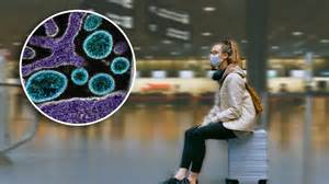 Nipah Virus: Several Asian Airports Deploy Covid-Style Screening After ...