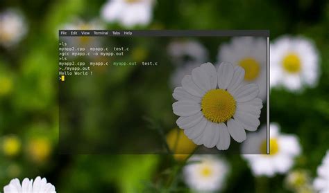 Image result for C Programming in Linux Tutorial