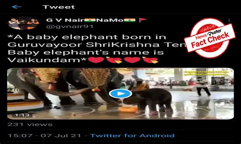 Fact Check: Baby elephant in viral video was born in Karnataka not Kerala