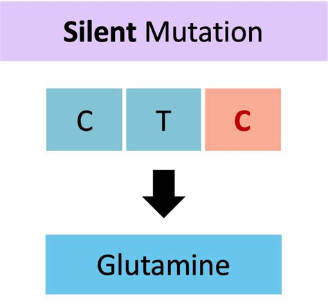 Image result for Sources of Mutation