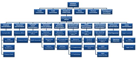 Co-operative Organizational Structure 的图像结果