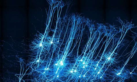 Image result for Microcurrent Technology