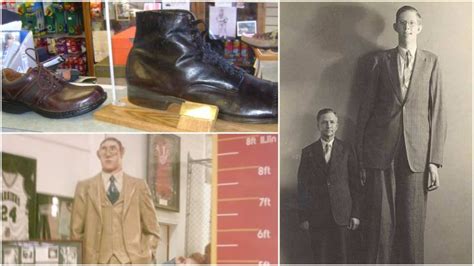 Measuring 8 ft 11 inches, Wadlow was the tallest man in history. At age ...