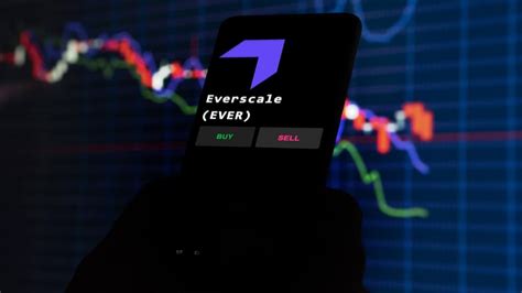 Image result for Ever Scan Scale