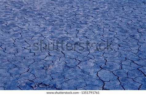 Image result for Example of Positive Numbers