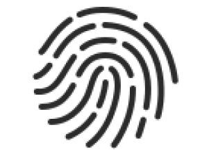 Fluorescent Yellow Flats – Bombay Brown India