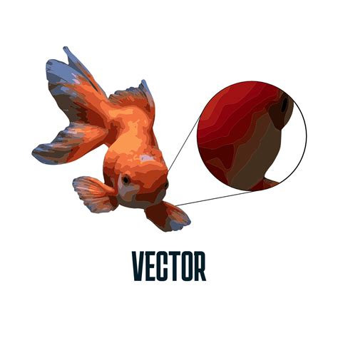 Vector File Extension 的图像结果