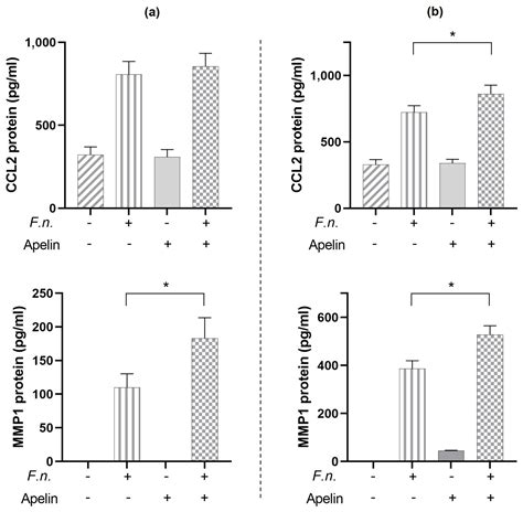 Apelin Enhances the Effects of Fusobacterium nucleatum on Periodontal ...