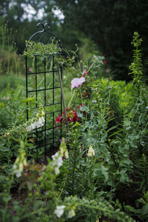 Visiting Jamaica Kincaid's Vermont garden — Harvard Gazette