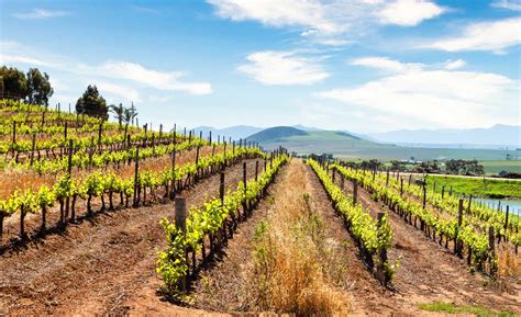 南非 的图像结果