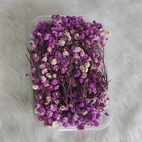 Purple Baby Breath Flower – Resin Raw Material