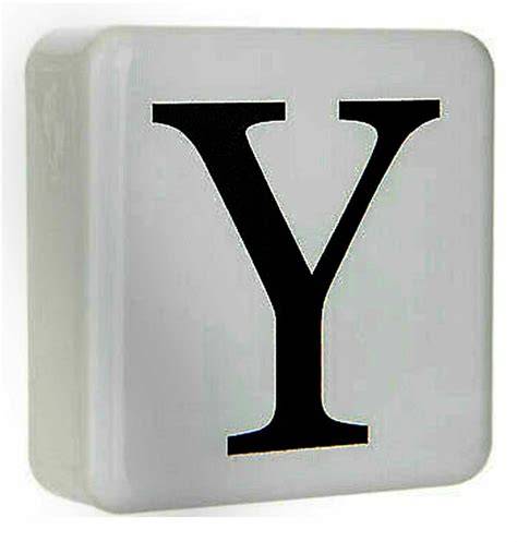 Decorative Letter Y