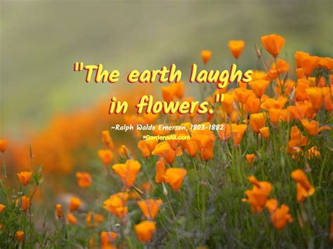 Beautiful Flower Quotes for Inspiration and Reflection on Nature's ...