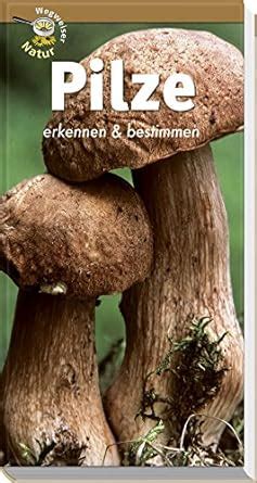 Amazon.in: Buy Pilze erkennen und bestimmen: Wegweiser Natur Book ...