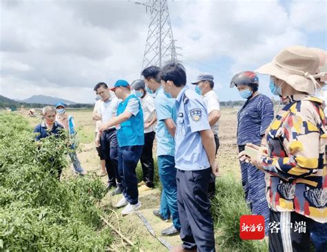 慎海雄率调研组到三亚 陵水 就高质量发展 生态文明建设等主题开展调研,时事,时政,好看视频