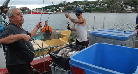 Canada's biggest cod fishery to re-open after earlier fast start ...
