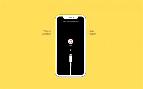 Image result for IPhone 12 Recovery Mode