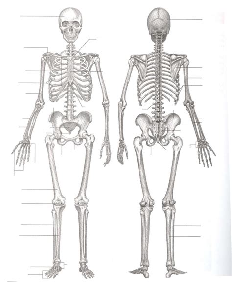 OS Corps 的图像结果