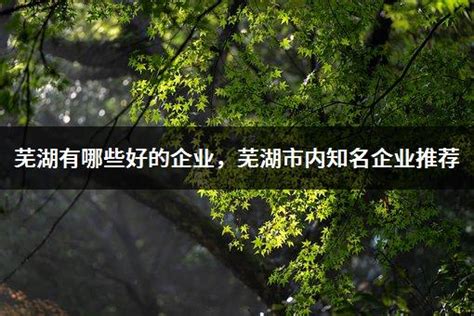 芜湖机器人：连续四年夺全省第一！_芜湖_新闻中心_长江网_cjn.cn