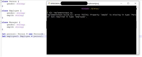 Image result for TypeScript Implements