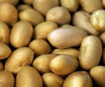 Image result for Bean