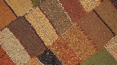 Re-imagining food | Meer