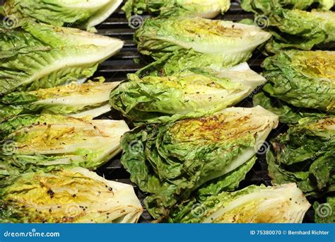 Romaine Lettuce Hearts stock photo. Image of refreshment - 75380070