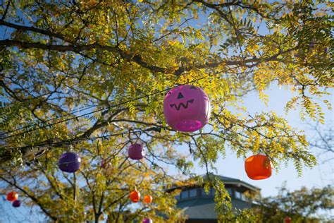 BOO AT YOUR FAVORITE OHIO ZOO - My Ohio Fun