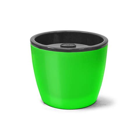 Image result for Blog Rolls Example