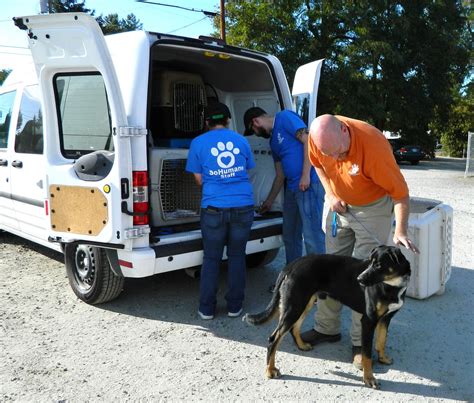 SOUTHERN OREGON HUMANE SOCIETY - Medford OR - Hours, Directions ...