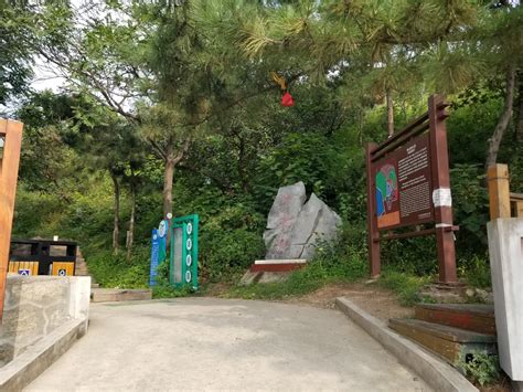 Image result for Python Code Mountain