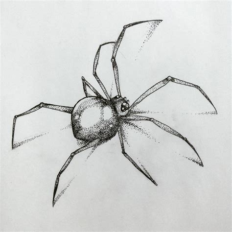 Picture Of A Spider Drawing - Anime Drawing Styles