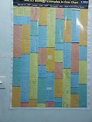 Buy NCERT Biology Chart | 25 x 36 inch | LAMINATED | 2022 Edition Book ...