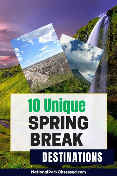 Spring Brain Break Destinations 的图像结果