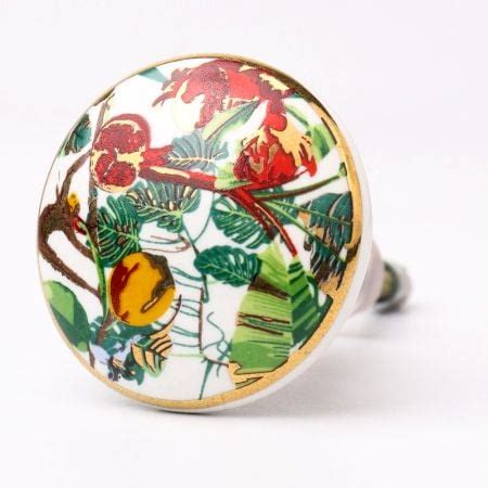 Buy Theia Ceramic Knobs and Handles Online at Low Cost | Indianshelf