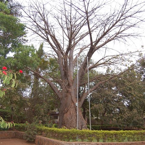 MCF KILIMANJARO LODGE (Moshi) - Lodge Reviews & Photos - Tripadvisor
