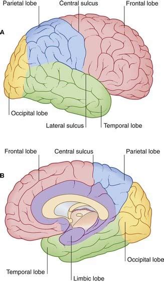 Image result for Cortex-R Vector Table