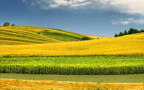 Nature Desktop Backgrounds Spring 的图像结果