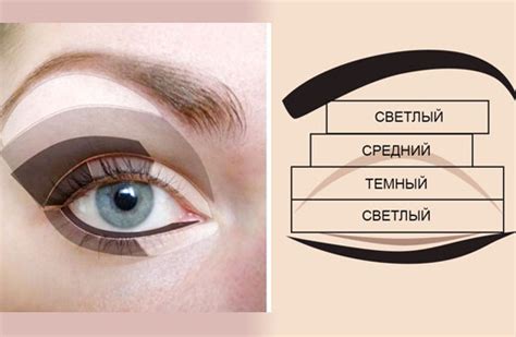 Техника нанесения теней на глаза, схема макияжа, способы, правила. Как ...