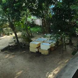 Best Top Rated Farm in Ayanivelikulangara, Kerala, India | Yappe.in